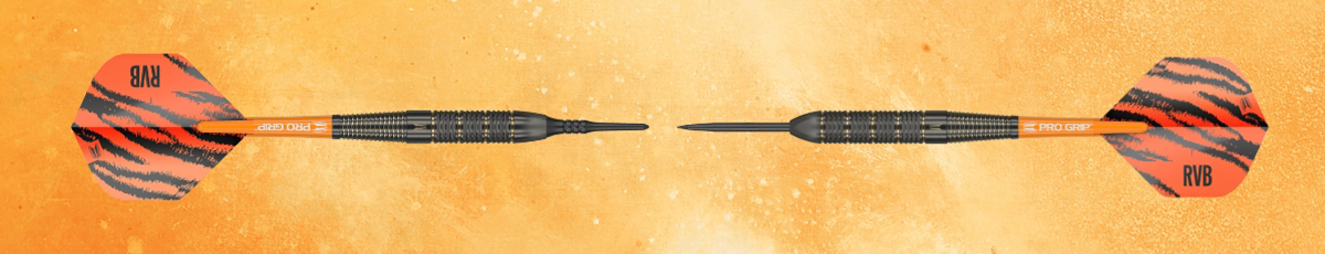 Steeltip vs softtip | Dartplein.nl